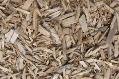 biomass boilers Pecking Mill